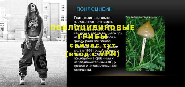 дмт Семикаракорск