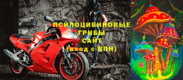стафф Армянск